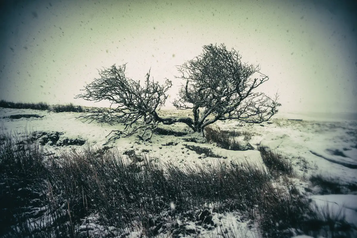 Dartmoor, photographed on large format film